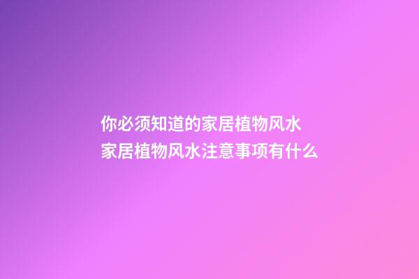 你必须知道的家居植物风水 家居植物风水注意事项有什么